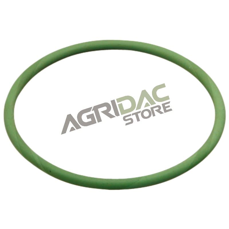 ARAG Anel O-ring