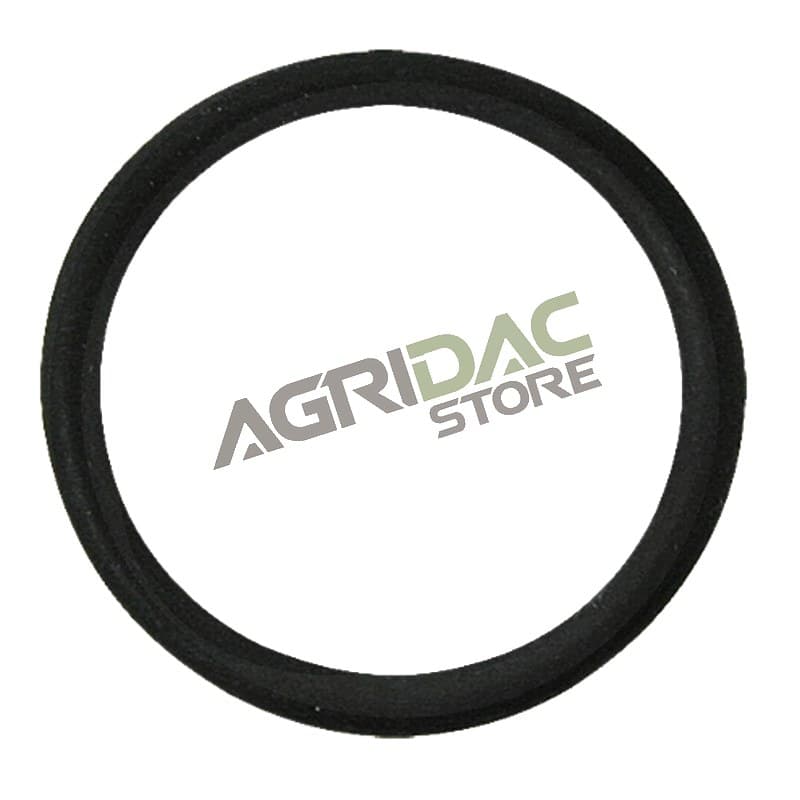 ARAG Anel O-ring