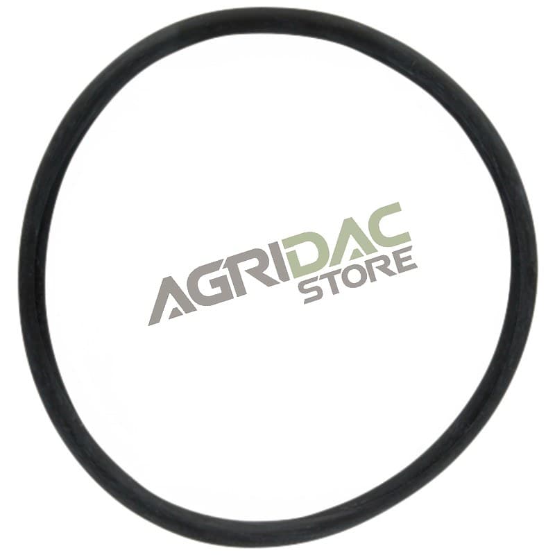 ARAG Anel O-ring